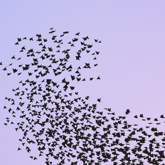 flocking birds animation